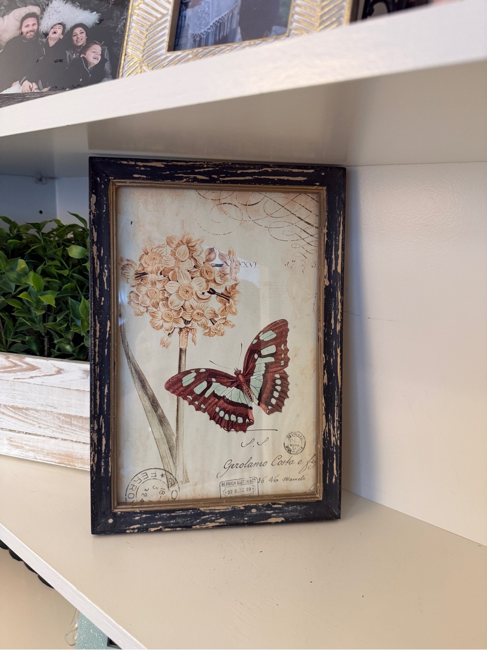 Vintage Style Butterfly Botanical Framed Wall Art Distressed Cottagecore
